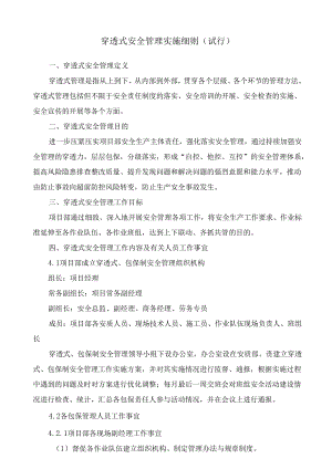 项目部穿透式安全管理实施细则（试行）.docx