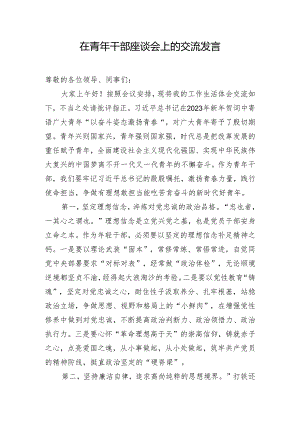 在青年干部座谈会上的交流发言.docx