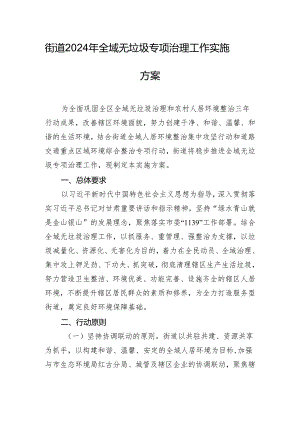 街道2024年全域无垃圾专项治理工作实施方案.docx