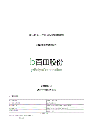 百亚股份：2023年年度财务报告.docx