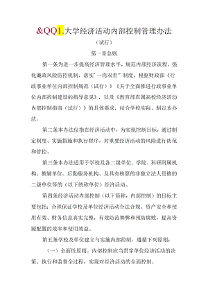 大学经济活动内部控制管理办法.docx