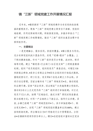 镇“三新”领域党建工作开展情况汇报.docx