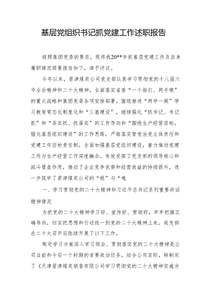基层党组织书记抓党建工作述职报告9.docx