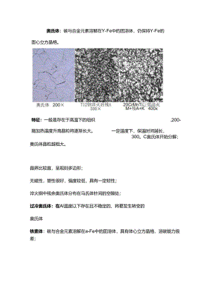 常见金相组织的定义和特征.docx