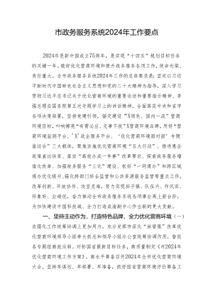 市政务服务系统2024年工作要点.docx