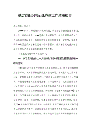 基层党组织书记抓党建工作述职报告23.docx