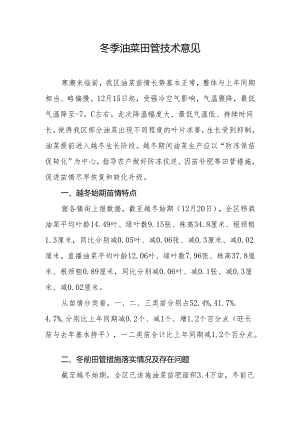 冬季油菜田管技术意见.docx