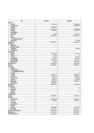 中科微至被担保人（中科微至子公司）最近一期财务报表.docx