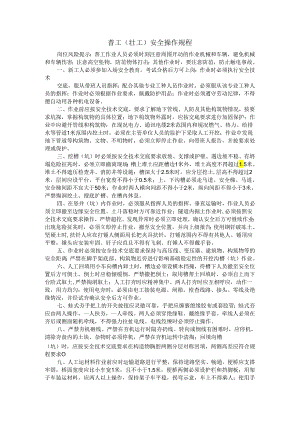 普工（壮工）安全操作规程.docx