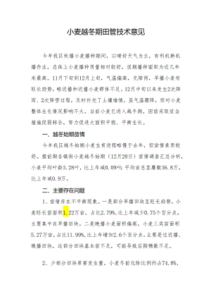 小麦越冬期田管技术意见.docx