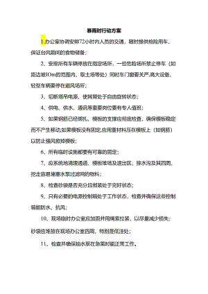 暴雨时行动方案.docx