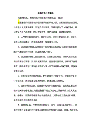 暴雨应急处置措施.docx