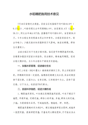 水稻穗肥施用技术意见.docx