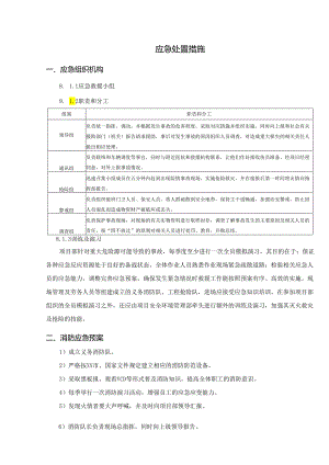 应急处置措施.docx
