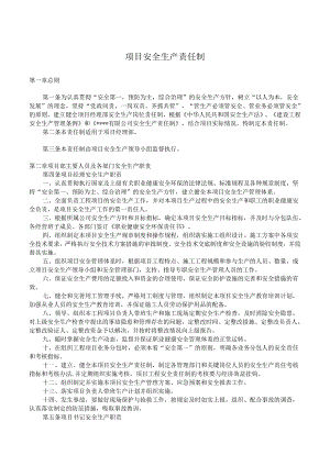 项目安全生产责任制.docx