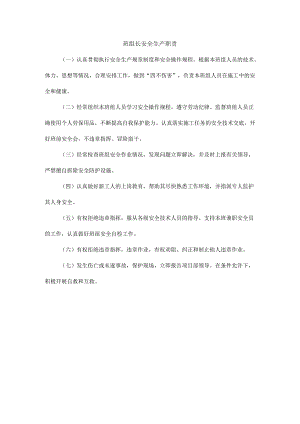 班组长安全生产职责.docx