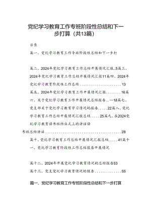 党纪学习教育工作专班阶段性总结和下一步打算（共13篇）.docx