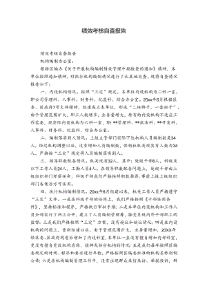 绩效考核自查报告.docx