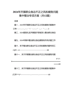 2024年开展群众身边不正之风和腐败问题集中整治专项方案（共12篇选择）.docx