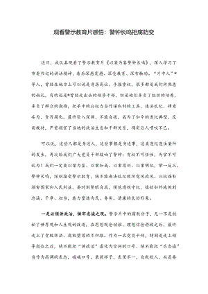 观看警示教育片感悟：警钟长鸣 拒腐防变.docx