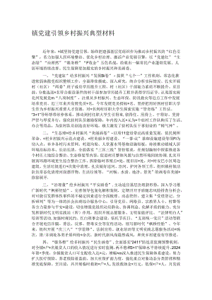 镇党建引领乡村振兴典型材料.docx