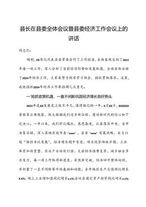 县长在2024年县委全体会议暨县委经济工作会议上的讲话.docx