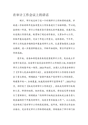 在审计工作会议上的讲话.docx