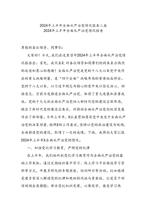 2024年上半年全面从严治党情况报告二篇.docx