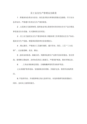 员工安全生产管理安全职责.docx