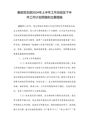 基层党支部2024年上半年工作总结及下半年工作计划思路和主要措施.docx