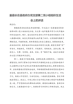 副县长在县政府办党支部第二党小组组织生活会上的讲话.docx