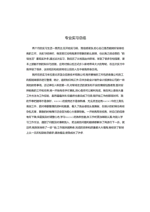 专业实习总结.docx