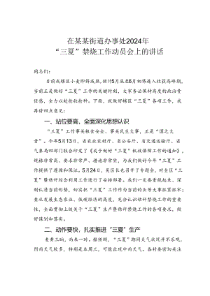 在某某街道办事处2024年“三夏”禁烧工作动员会上的讲话.docx