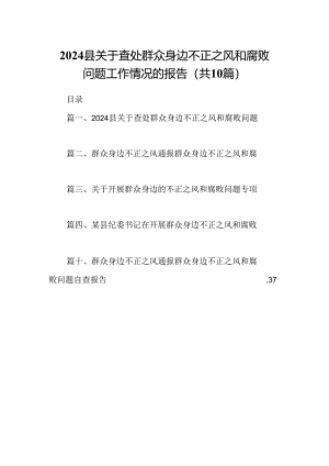 （10篇）县关于查处群众身边不正之风和腐败问题工作情况的报告（详细版）.docx