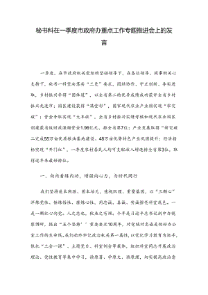 秘书科在一季度市政府办重点工作专题推进会上的发言.docx