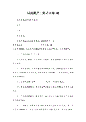 试用期员工劳动合同6篇.docx