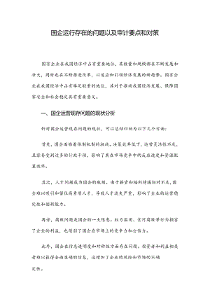 国企运行存在的问题以及审计要点和对策.docx