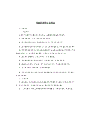 党支部基层自查报告.docx