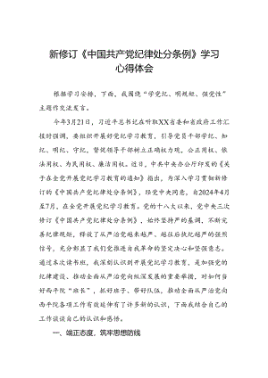 2024版新修订中国共产党纪律处分条例读书班研讨发言参考范文八篇.docx