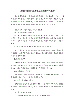 县医院医药问题集中整治推进情况报告.docx