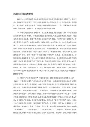 市政府办工作典型材料.docx