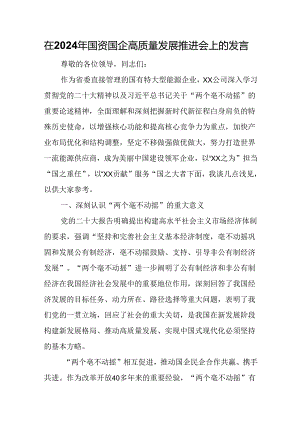在2024年国资国企高质量发展推进会上的发言.docx