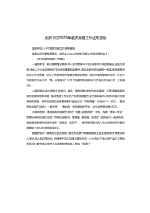 支部书记2023年度抓党建工作述职报告.docx