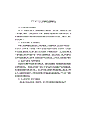 2023年党支部书记述职报告.docx