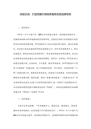 经验交流：打造党建引领政务服务优质品牌项目.docx