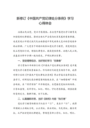 银行2024年新版中国共产党纪律处分条例的学习心得体会八篇.docx