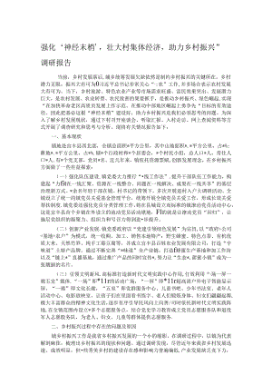 强化‘神经末梢’壮大村集体经济助力乡村振兴”调研报告.docx