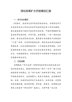 深化改革扩大开放情况汇报.docx