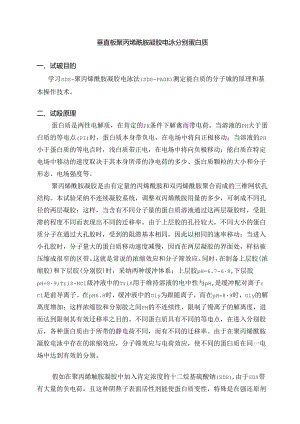 SDSPAGE电泳实验步骤.docx