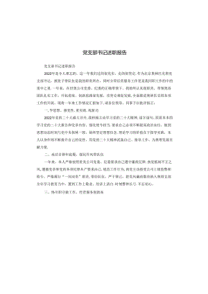 党支部书记述职报告.docx